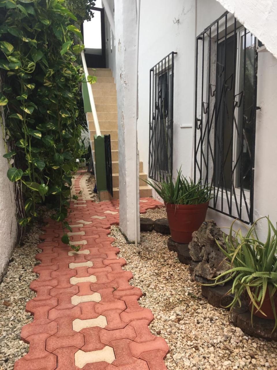 Violeta'S House Daire Cancún Dış mekan fotoğraf